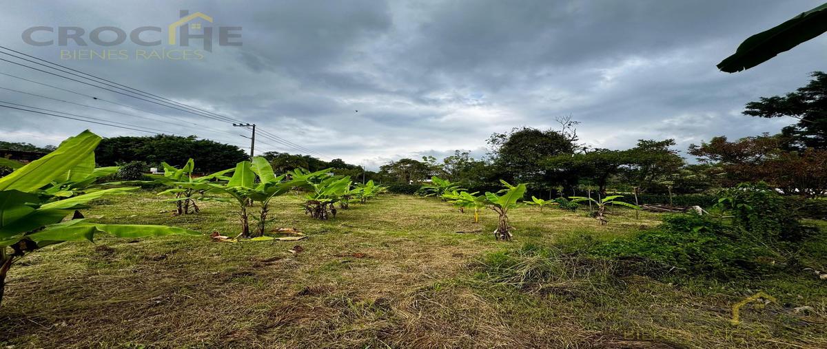 Foto de terreno habitacional en renta en  , el haya, xico, veracruz de ignacio de la llave, 30341506 No. 05