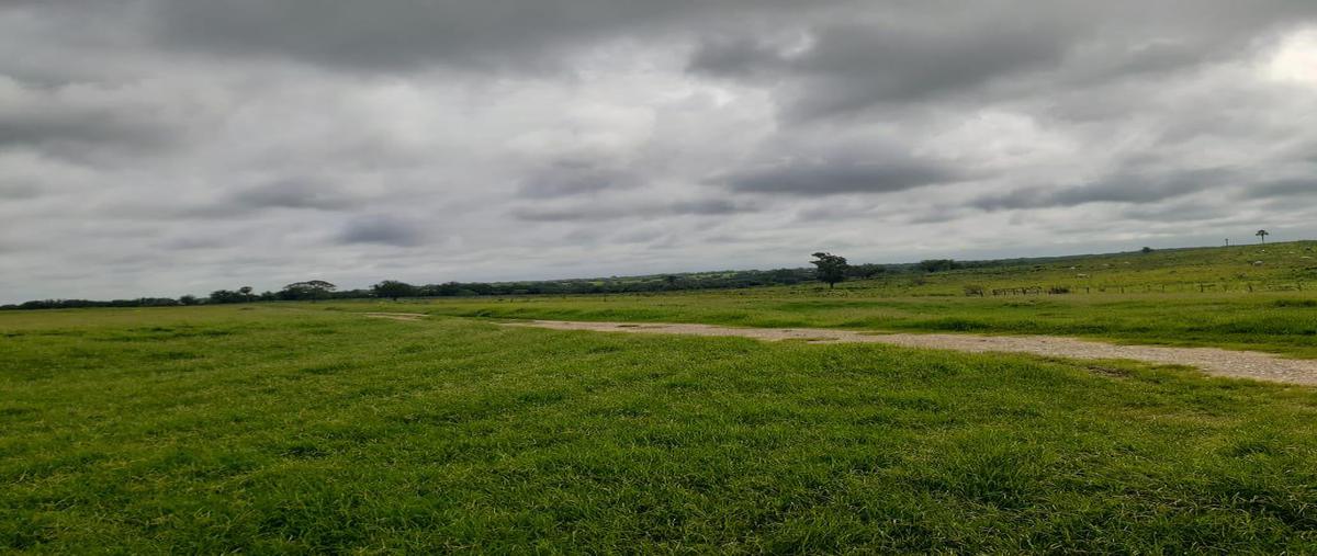 Foto de terreno habitacional en venta en  , el higo centro, el higo, veracruz de ignacio de la llave, 0 No. 03
