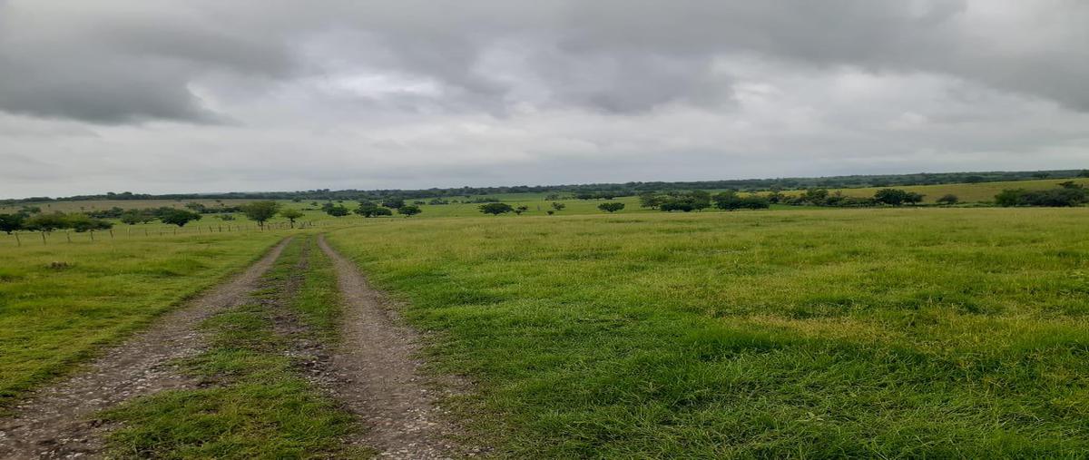 Foto de terreno habitacional en venta en  , el higo centro, el higo, veracruz de ignacio de la llave, 0 No. 04