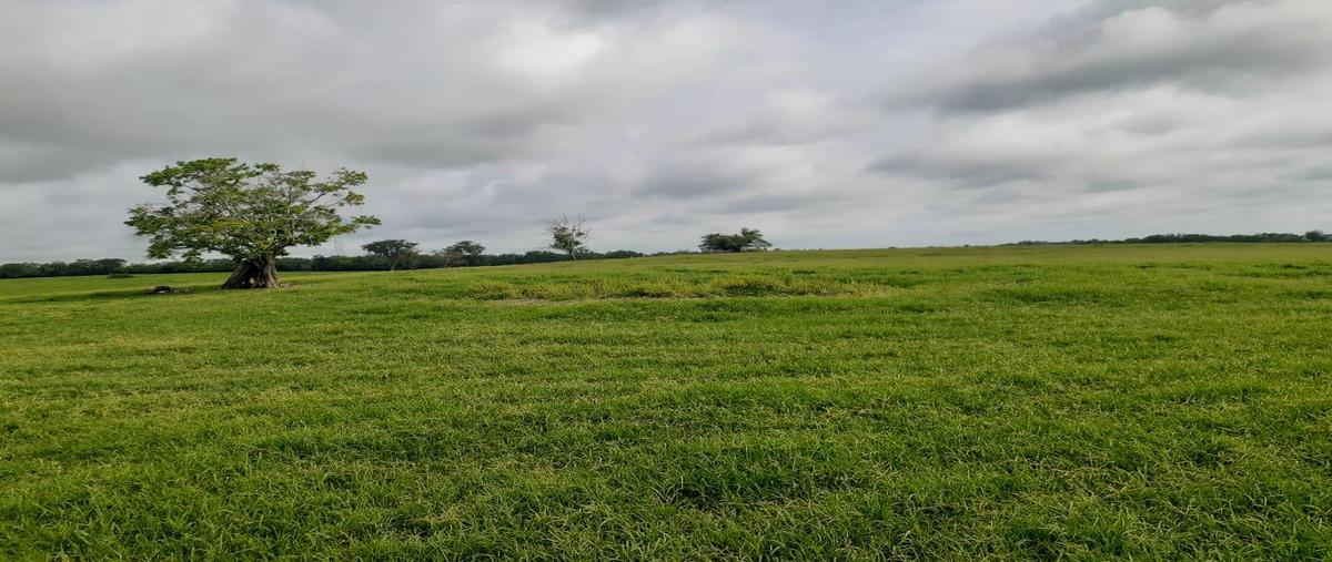 Foto de terreno habitacional en venta en  , el higo centro, el higo, veracruz de ignacio de la llave, 21796080 No. 05