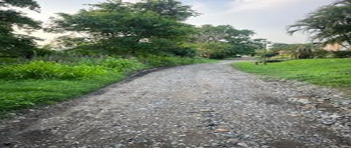 Foto de terreno habitacional en venta en  , el higo centro, el higo, veracruz de ignacio de la llave, 30111822 No. 03