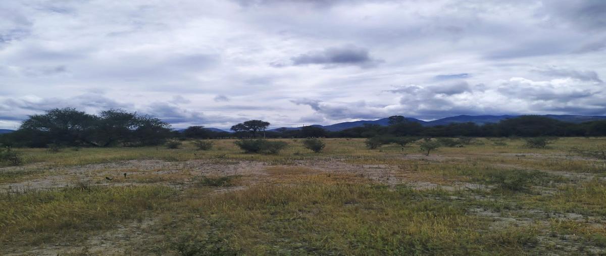 Foto de terreno habitacional en venta en el huizachal , el huizachal, san miguel de allende, guanajuato, 27217024 No. 06