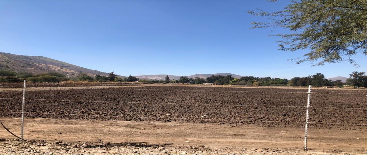 Foto de terreno comercial en el huizachito , san miguel cuyutlan, tlajomulco de zúñiga, jalisco, 26658752 foto 03 Foto de terreno comercial en venta en el huizachito , san miguel cuyutlan, tlajomulco de zúñiga, jalisco, 26658752 No. 03
