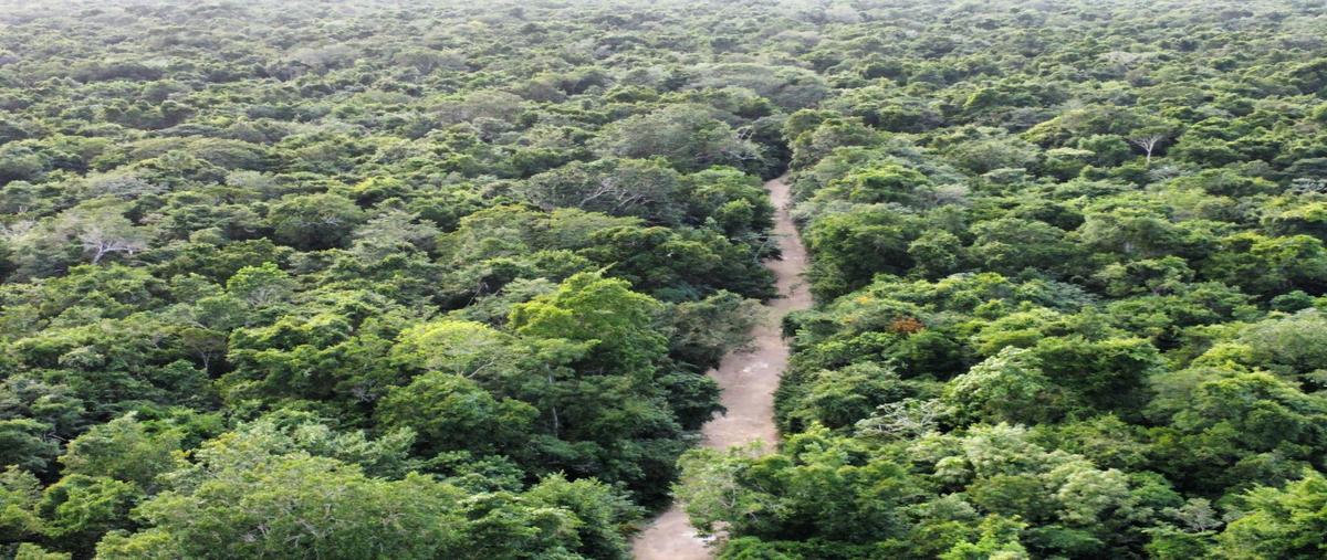 Foto de terreno habitacional en venta en  , el ideal, lázaro cárdenas, quintana roo, 30650196 No. 03