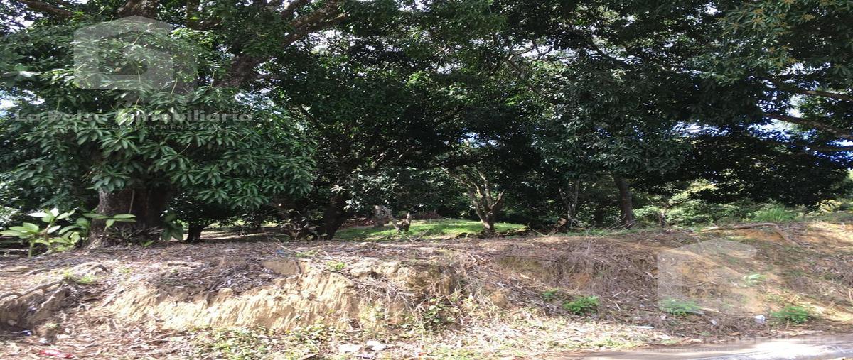Foto de terreno habitacional en , el jardín, san andrés tuxtla, veracruz de ignacio de la llave, 0 foto 03 Foto de terreno habitacional en venta en , el jardín, san andrés tuxtla, veracruz de ignacio de la llave, 0 No. 03