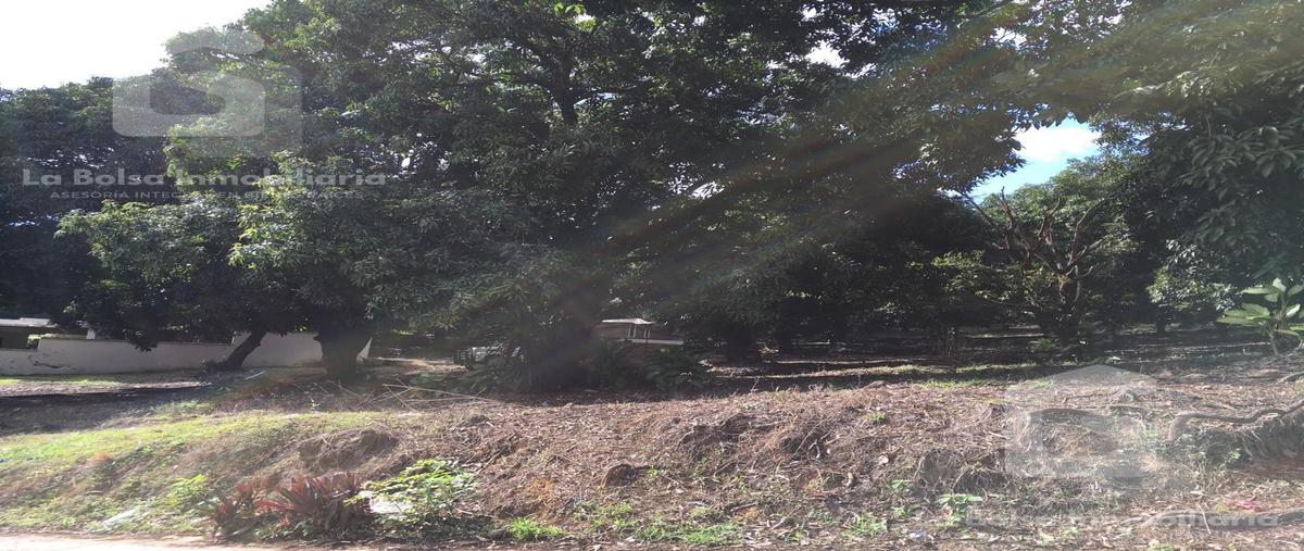 Foto de terreno habitacional en , el jardín, san andrés tuxtla, veracruz de ignacio de la llave, 0 foto 05 Foto de terreno habitacional en venta en , el jardín, san andrés tuxtla, veracruz de ignacio de la llave, 0 No. 05
