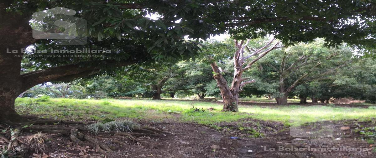 Foto de terreno habitacional en venta en  , el jardín, san andrés tuxtla, veracruz de ignacio de la llave, 0 No. 04