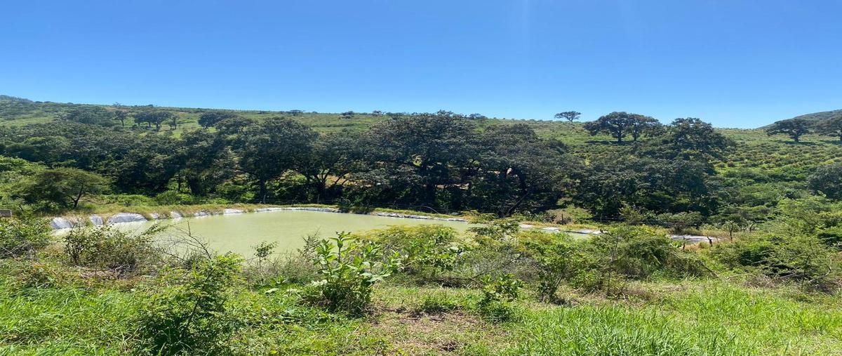 Foto de terreno habitacional en , el jazmín, san gabriel, jalisco, 27364267 foto 05 Foto de terreno habitacional en venta en , el jazmín, san gabriel, jalisco, 27364267 No. 05