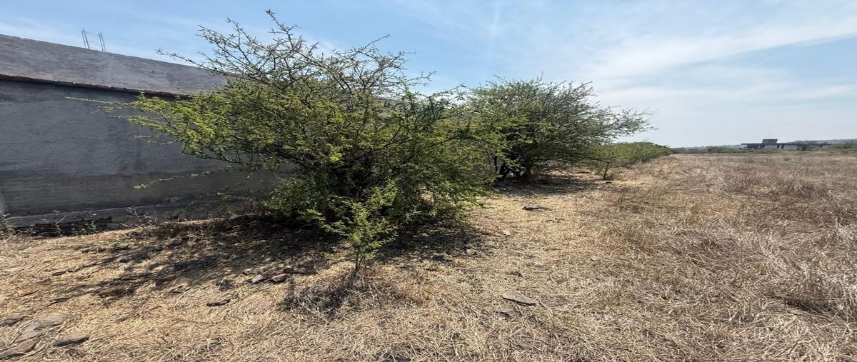 Foto de terreno habitacional en venta en  , el jazmín, san juan del río, querétaro, 0 No. 03