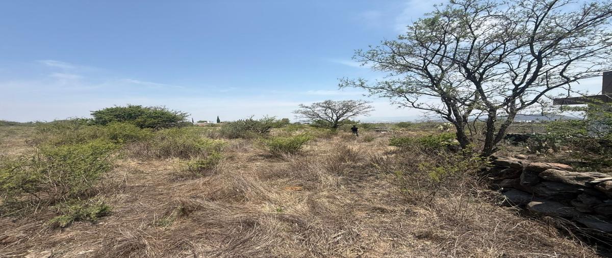 Foto de terreno habitacional en venta en  , el jazmín, san juan del río, querétaro, 0 No. 04