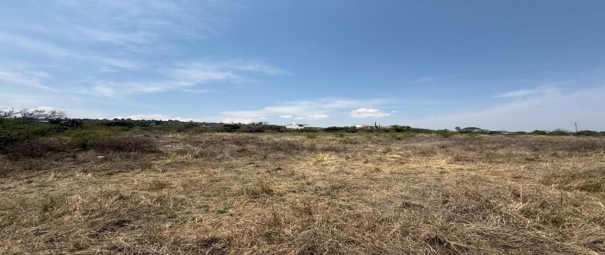Foto de terreno habitacional en venta en  , el jazmín, san juan del río, querétaro, 0 No. 05