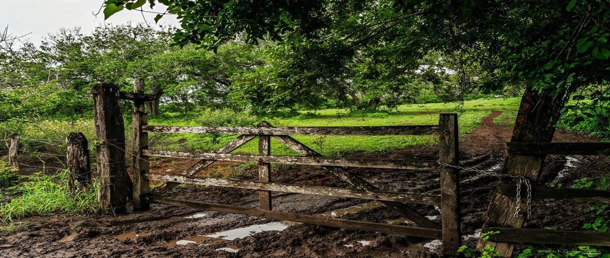 Foto de terreno habitacional en venta en  , el jobo (escribano), tampico alto, veracruz de ignacio de la llave, 0 No. 03