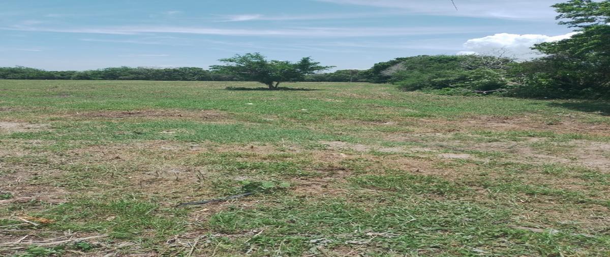 Foto de terreno habitacional en venta en  , el jobo (escribano), tampico alto, veracruz de ignacio de la llave, 0 No. 04