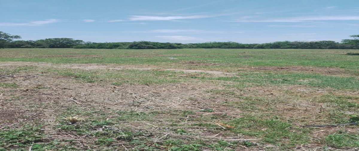 Foto de terreno habitacional en venta en  , el jobo (escribano), tampico alto, veracruz de ignacio de la llave, 0 No. 05