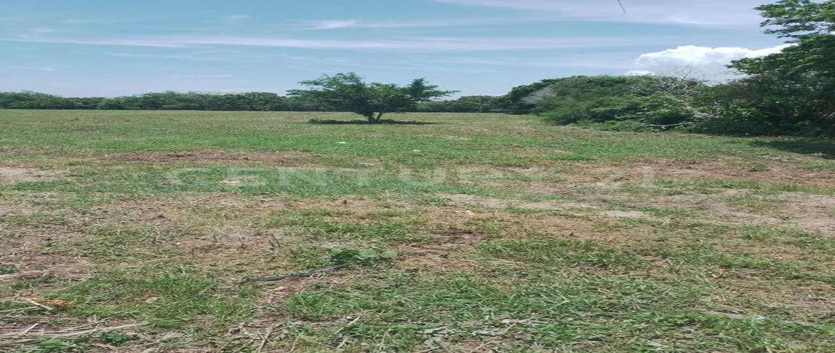 Foto de terreno habitacional en venta en  , el jobo (escribano), tampico alto, veracruz de ignacio de la llave, 0 No. 04