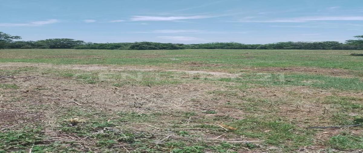 Foto de terreno habitacional en venta en  , el jobo (escribano), tampico alto, veracruz de ignacio de la llave, 0 No. 05