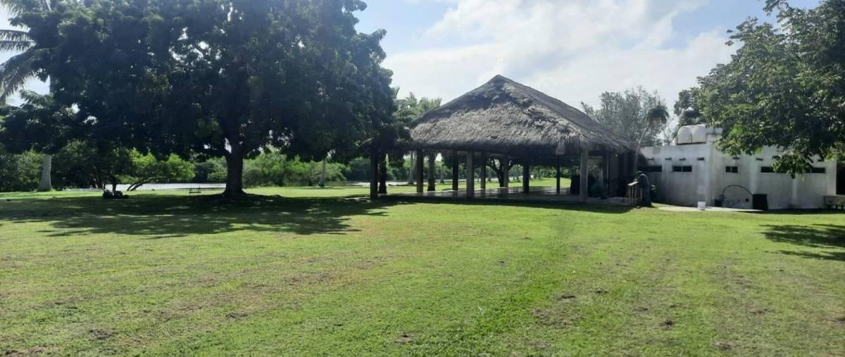 Foto de terreno habitacional en venta en  , el jobo (escribano), tampico alto, veracruz de ignacio de la llave, 30129917 No. 03