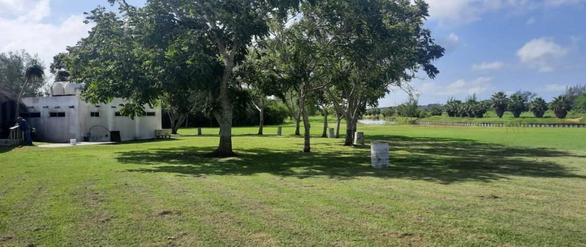 Foto de terreno habitacional en venta en  , el jobo (escribano), tampico alto, veracruz de ignacio de la llave, 30129917 No. 04