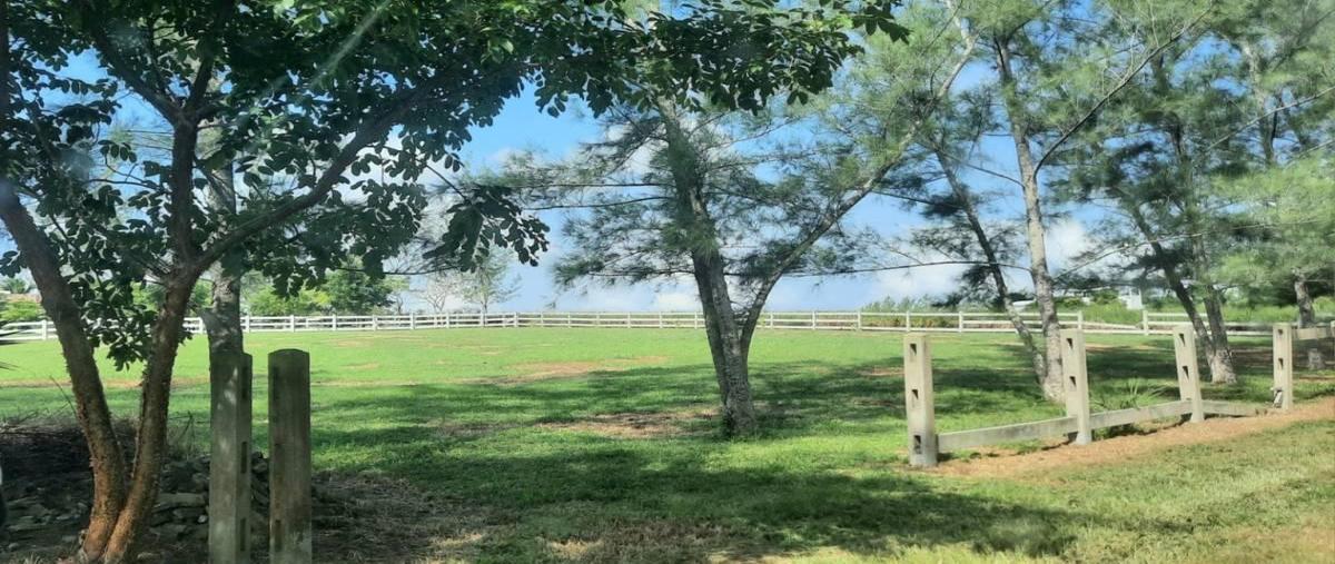 Foto de terreno habitacional en venta en  , el jobo (escribano), tampico alto, veracruz de ignacio de la llave, 30129917 No. 05