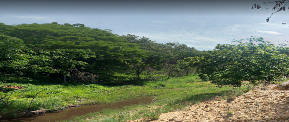 Foto de rancho en venta en  , el jobo, tuxtla gutiérrez, chiapas, 26609558 No. 03