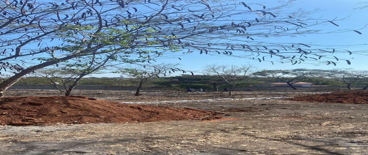 Foto de terreno habitacional en venta en  , el jobo, tuxtla gutiérrez, chiapas, 28553001 No. 03