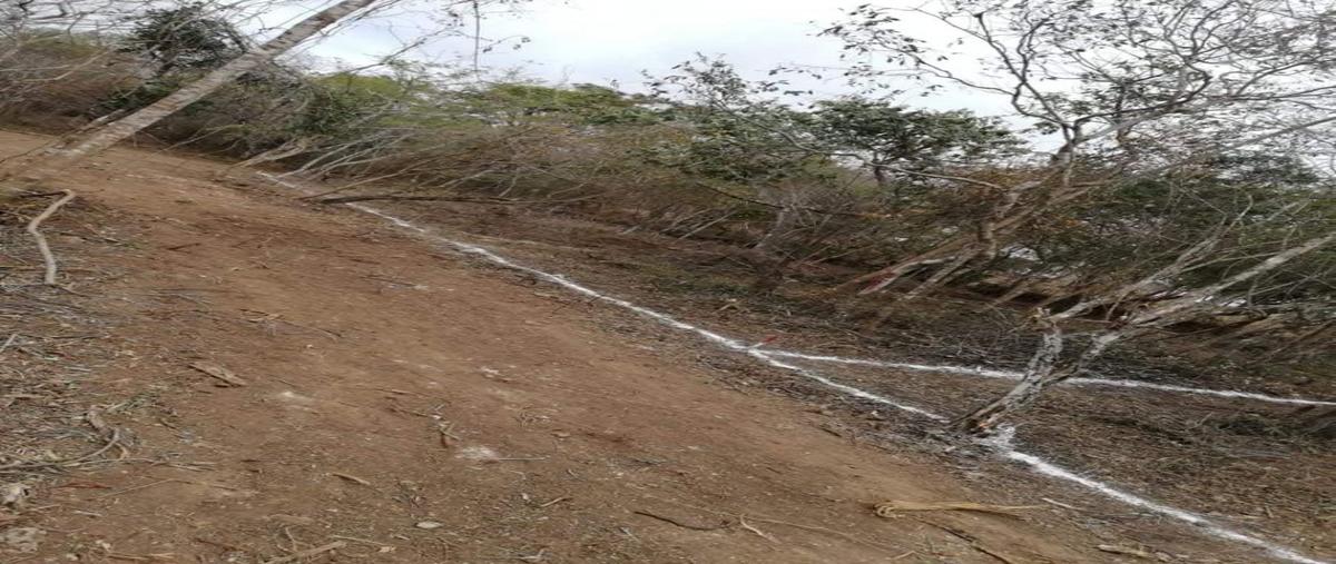 Foto de terreno habitacional en venta en  , el jobo, tuxtla gutiérrez, chiapas, 28553001 No. 04