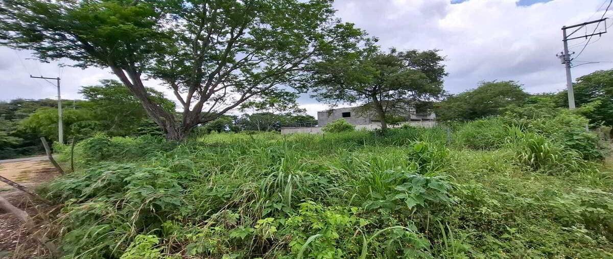 Foto de terreno habitacional en venta en  , el jobo, tuxtla gutiérrez, chiapas, 0 No. 03