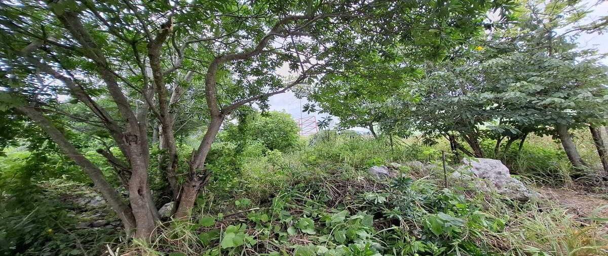 Foto de terreno habitacional en venta en  , el jobo, tuxtla gutiérrez, chiapas, 0 No. 03