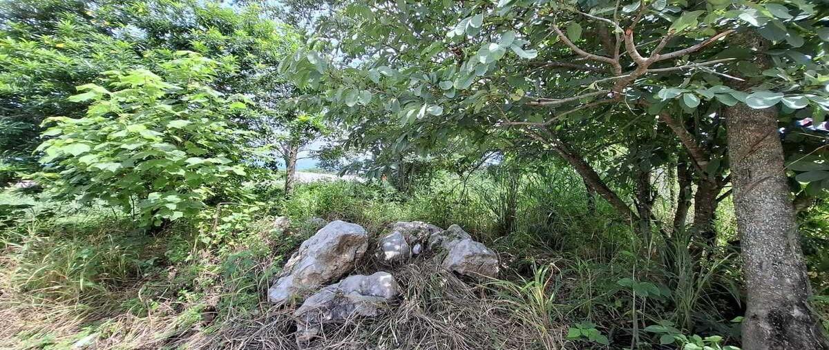 Foto de terreno habitacional en venta en  , el jobo, tuxtla gutiérrez, chiapas, 0 No. 05