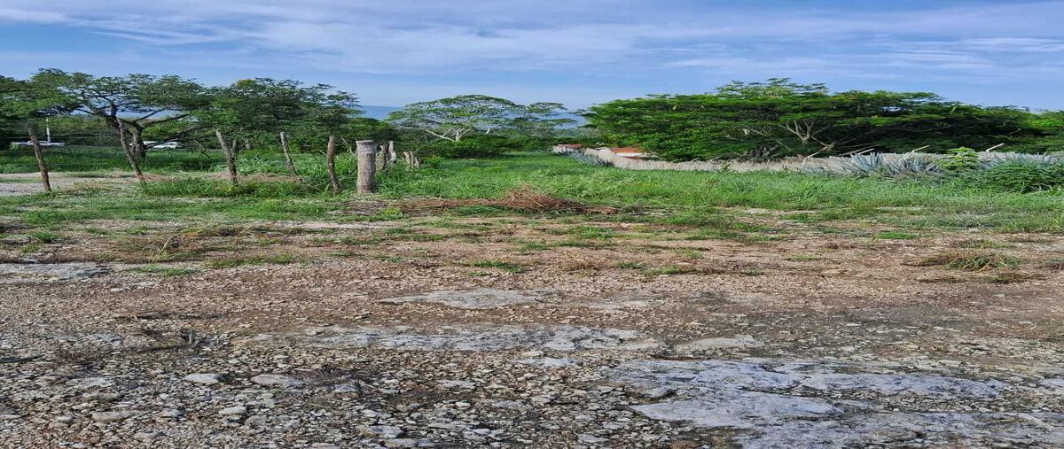 Foto de terreno habitacional en venta en  , el jobo, tuxtla gutiérrez, chiapas, 0 No. 03