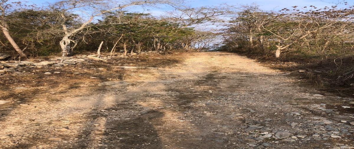 Foto de terreno habitacional en venta en  , el jobo, tuxtla gutiérrez, chiapas, 0 No. 04