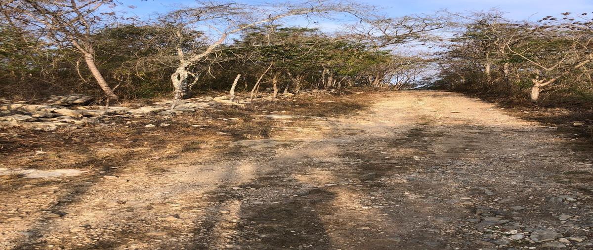 Foto de terreno habitacional en venta en  , el jobo, tuxtla gutiérrez, chiapas, 0 No. 05