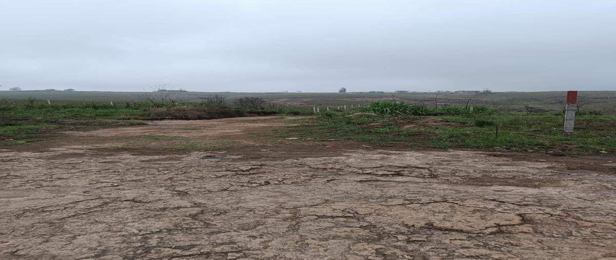 Foto de terreno habitacional en venta en  , el lencero, emiliano zapata, veracruz de ignacio de la llave, 0 No. 03