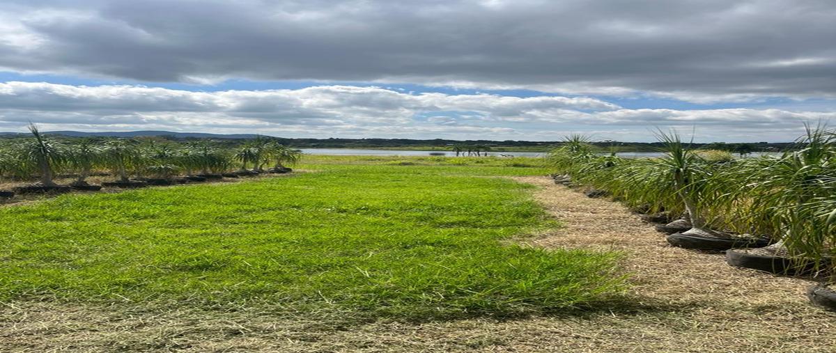 Foto de terreno habitacional en venta en  , el lencero, emiliano zapata, veracruz de ignacio de la llave, 0 No. 05