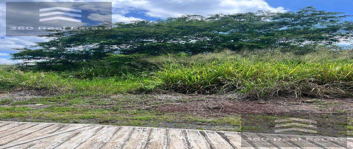 Foto de terreno habitacional en venta en  , el lencero, emiliano zapata, veracruz de ignacio de la llave, 28330541 No. 03