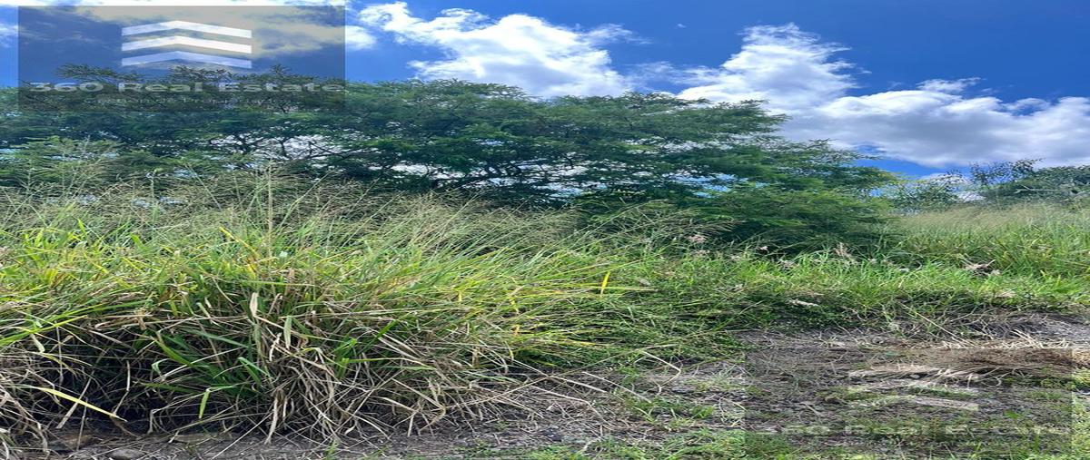 Foto de terreno habitacional en venta en  , el lencero, emiliano zapata, veracruz de ignacio de la llave, 28330541 No. 04