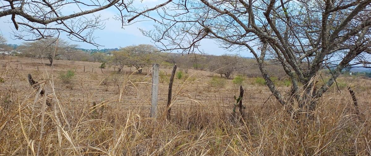 Foto de terreno habitacional en , el lencero, emiliano zapata, veracruz de ignacio de la llave, 0 foto 02 Foto de terreno habitacional en venta en , el lencero, emiliano zapata, veracruz de ignacio de la llave, 0 No. 02