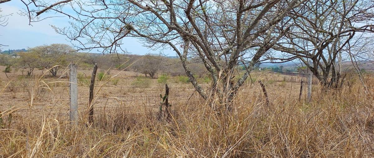 Foto de terreno habitacional en , el lencero, emiliano zapata, veracruz de ignacio de la llave, 0 foto 04 Foto de terreno habitacional en venta en , el lencero, emiliano zapata, veracruz de ignacio de la llave, 0 No. 04