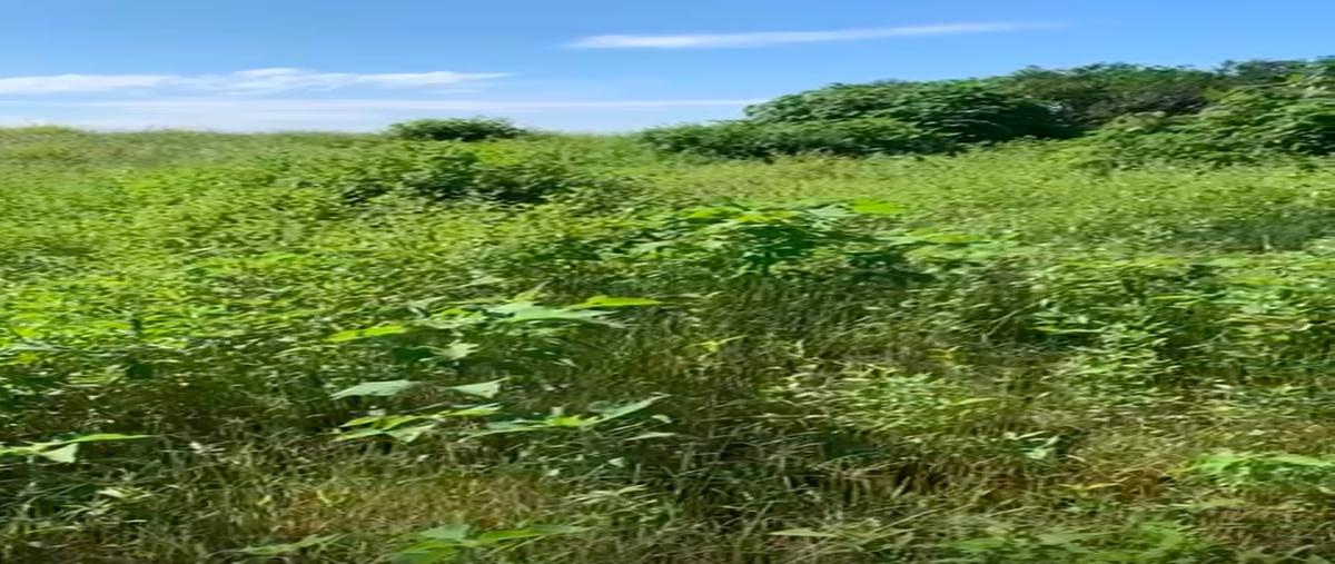 Foto de terreno habitacional en renta en  , el lencero, emiliano zapata, veracruz de ignacio de la llave, 0 No. 03