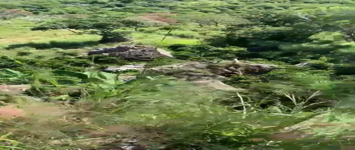 Foto de terreno habitacional en renta en  , el lencero, emiliano zapata, veracruz de ignacio de la llave, 0 No. 04