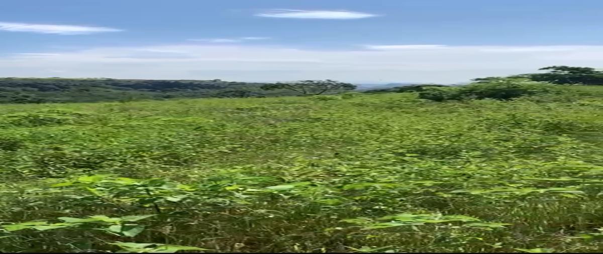 Foto de terreno habitacional en renta en  , el lencero, emiliano zapata, veracruz de ignacio de la llave, 0 No. 05
