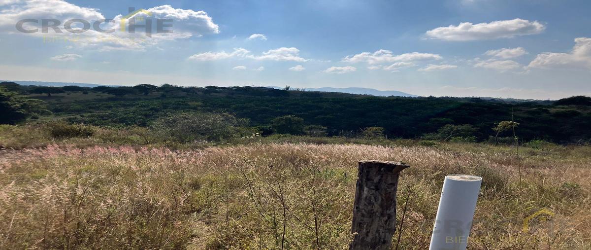 Foto de terreno habitacional en venta en  , el lencero, emiliano zapata, veracruz de ignacio de la llave, 0 No. 05