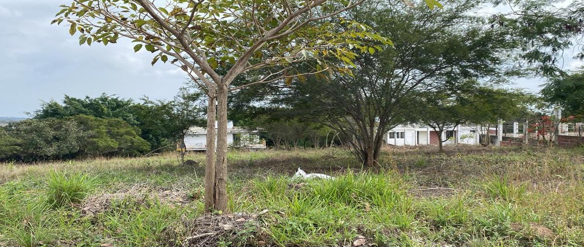 Foto de terreno habitacional en venta en  , el lencero, emiliano zapata, veracruz de ignacio de la llave, 30143216 No. 03