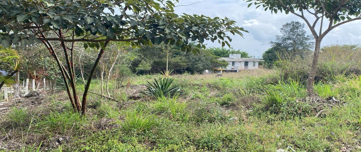 Foto de terreno habitacional en venta en  , el lencero, emiliano zapata, veracruz de ignacio de la llave, 30143216 No. 05