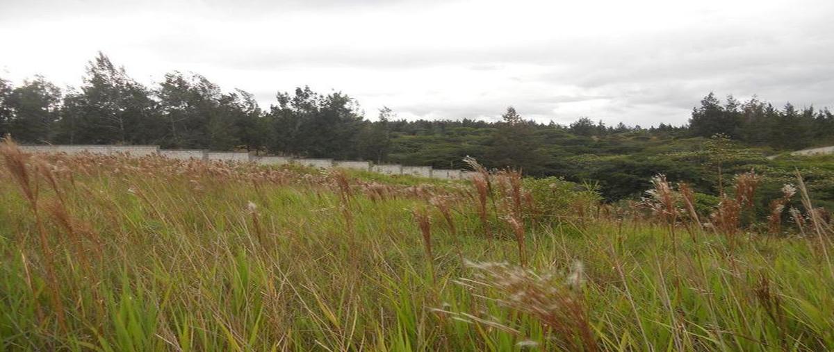 Foto de terreno comercial en venta en  , el lencero, emiliano zapata, veracruz de ignacio de la llave, 30298402 No. 03