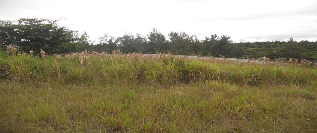 Foto de terreno comercial en venta en  , el lencero, emiliano zapata, veracruz de ignacio de la llave, 30298402 No. 04