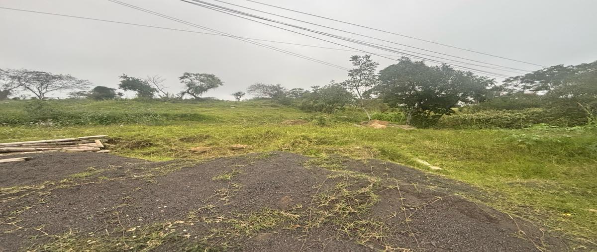 Foto de terreno habitacional en , el lencero, emiliano zapata, veracruz de ignacio de la llave, 30764618 foto 03 Foto de terreno habitacional en venta en , el lencero, emiliano zapata, veracruz de ignacio de la llave, 30764618 No. 03
