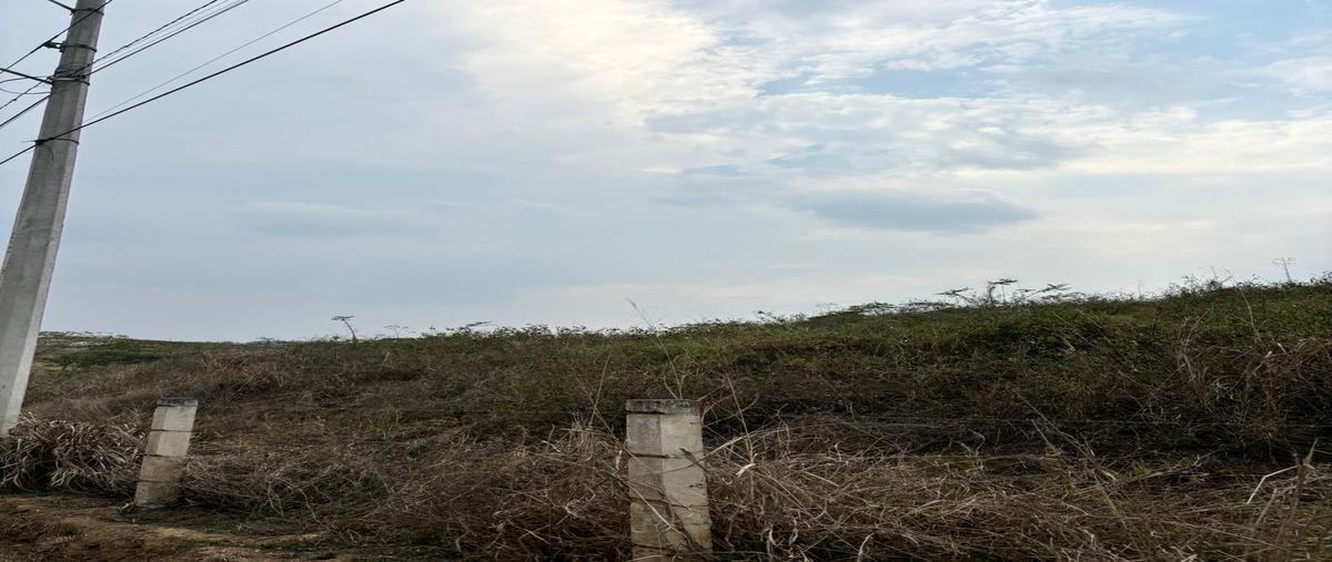 Foto de terreno habitacional en venta en  , el lencero, emiliano zapata, veracruz de ignacio de la llave, 0 No. 03