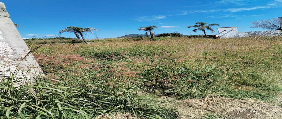 Foto de terreno habitacional en venta en  , el león, atlixco, puebla, 28293014 No. 03