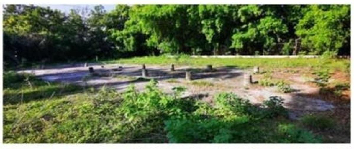 Foto de rancho en . , el limón de los ramos, culiacán, sinaloa, 24872192 foto 03 Foto de rancho en venta en . , el limón de los ramos, culiacán, sinaloa, 24872192 No. 03